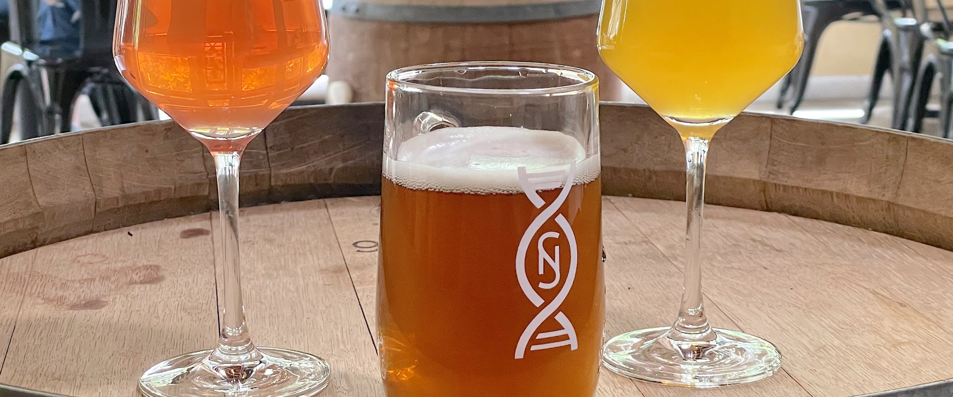 Exploring the Craft Breweries and Distilleries of Denver, CO